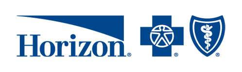 Horizon Insurance logo