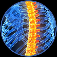 spine specialists