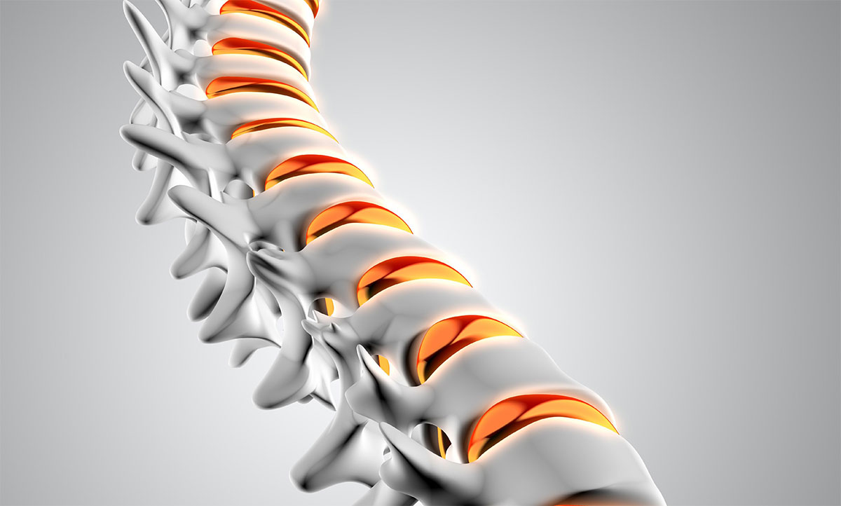 Maintaining a Healthy Spine: Tips for a Strong and Pain-Free Back